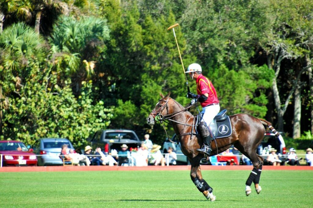 Seafood & Italian Restaurant for Miami Beach Polo World Cup